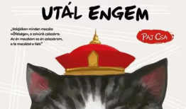 韩国漫画猫,猫界传奇的奇幻冒险