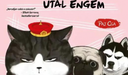 韩国漫画猫,猫界传奇的奇幻冒险