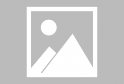 狐狸受漫画,智慧与魅力的完美结合